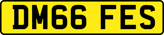 DM66FES