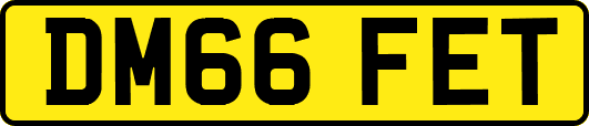DM66FET