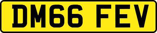 DM66FEV