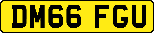 DM66FGU