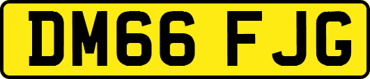 DM66FJG