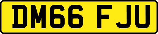 DM66FJU