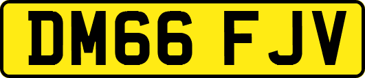 DM66FJV