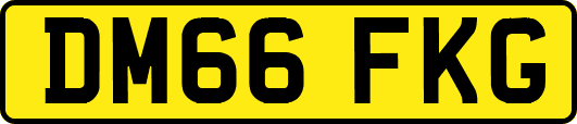 DM66FKG