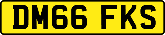DM66FKS