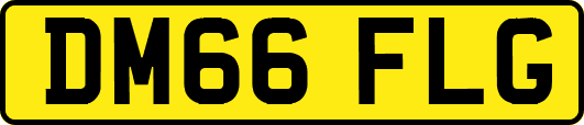 DM66FLG