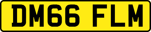 DM66FLM