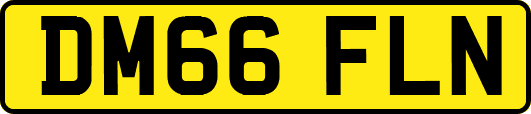 DM66FLN