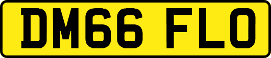 DM66FLO