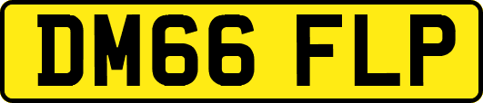 DM66FLP