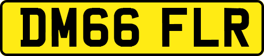 DM66FLR