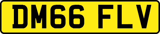 DM66FLV
