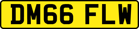 DM66FLW