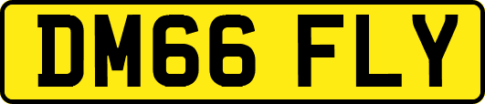 DM66FLY