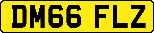 DM66FLZ