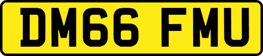 DM66FMU