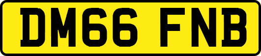 DM66FNB