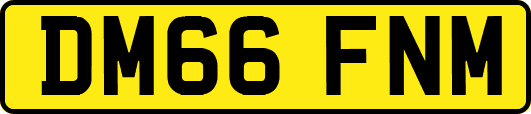 DM66FNM