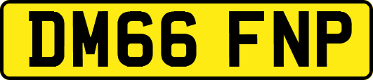 DM66FNP