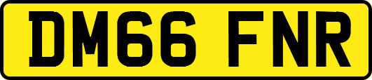 DM66FNR