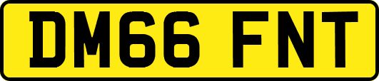 DM66FNT