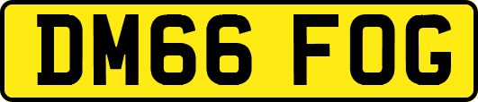 DM66FOG