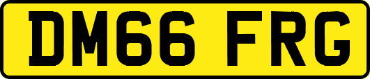 DM66FRG