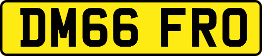 DM66FRO