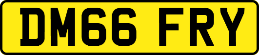 DM66FRY