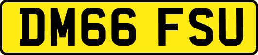 DM66FSU