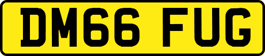 DM66FUG