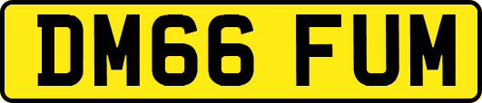 DM66FUM