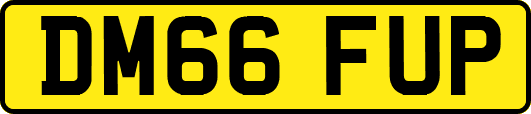 DM66FUP