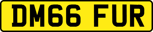 DM66FUR