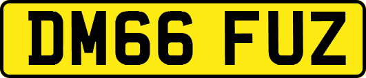 DM66FUZ