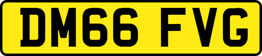 DM66FVG