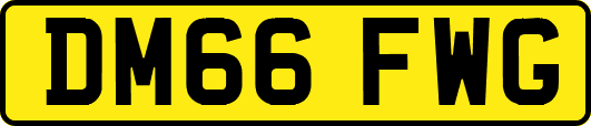 DM66FWG
