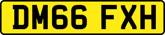DM66FXH