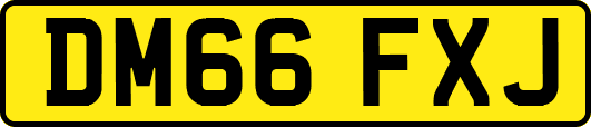 DM66FXJ