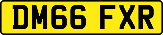 DM66FXR