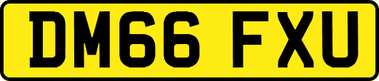 DM66FXU