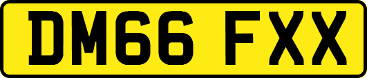 DM66FXX