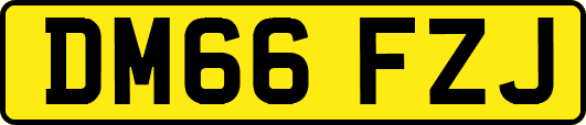 DM66FZJ