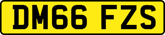 DM66FZS