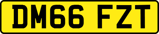 DM66FZT