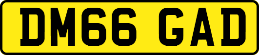 DM66GAD