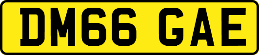 DM66GAE