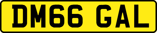 DM66GAL