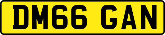 DM66GAN