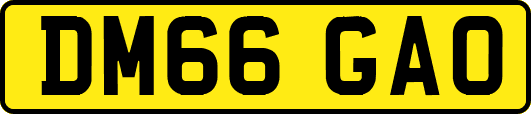 DM66GAO